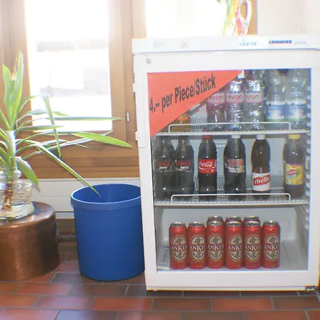 Hotel Jungfraublick 3*