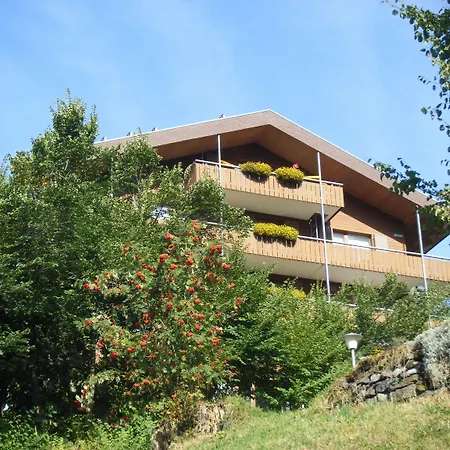 Jungfraublick 3* Wengen