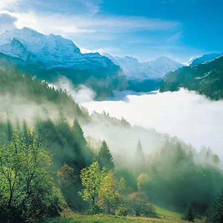 Jungfraublick Hotell 3*