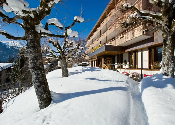 Jungfraublick Hotel