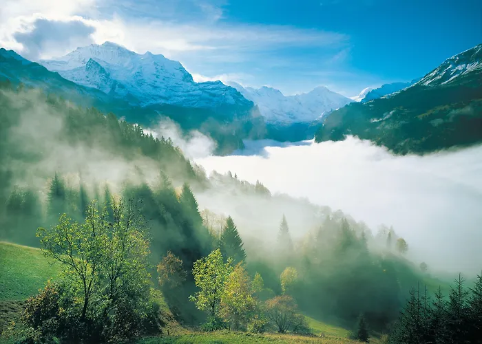 Jungfraublick Hotel 3*