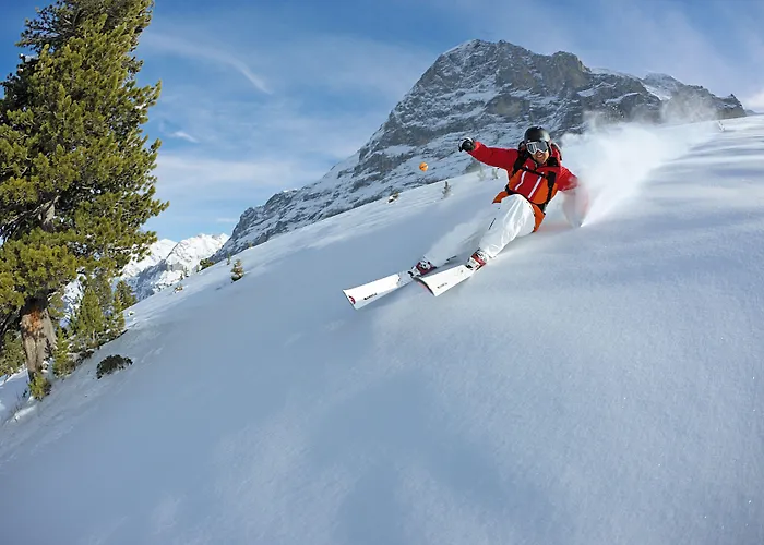 Jungfraublick Hotel Wengen