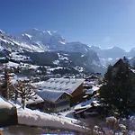Hotell Jungfraublick 3*