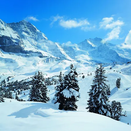 Szálloda Jungfraublick Wengen