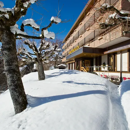 Jungfraublick Hotell