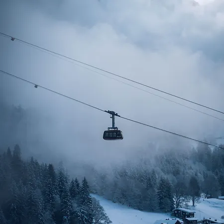 Jungfraublick