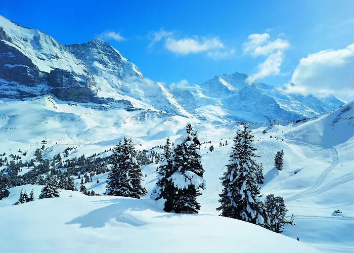 Hotel Jungfraublick Wengen