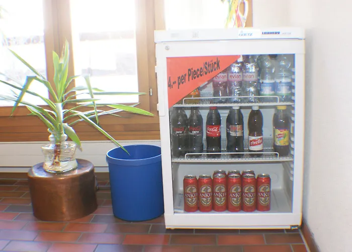 酒店 君弗比力克酒店 3*