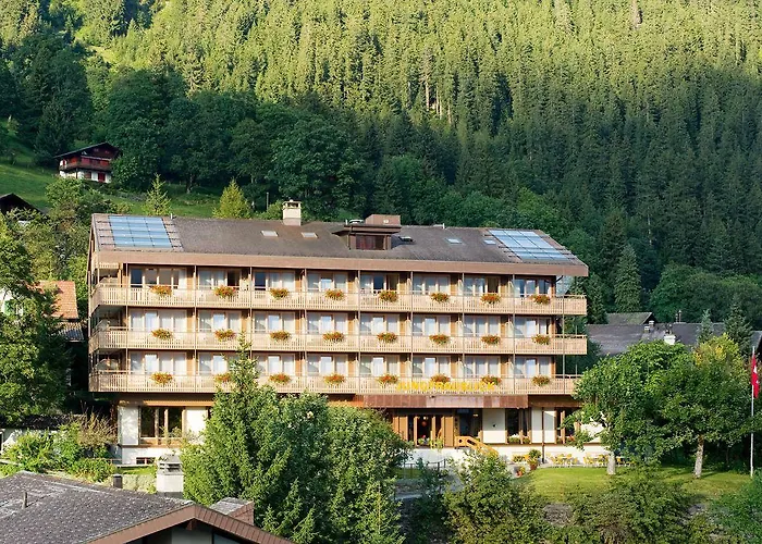 Hotel Jungfraublick 3*
