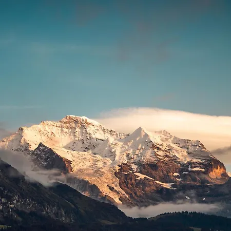 Szálloda Jungfraublick 3*