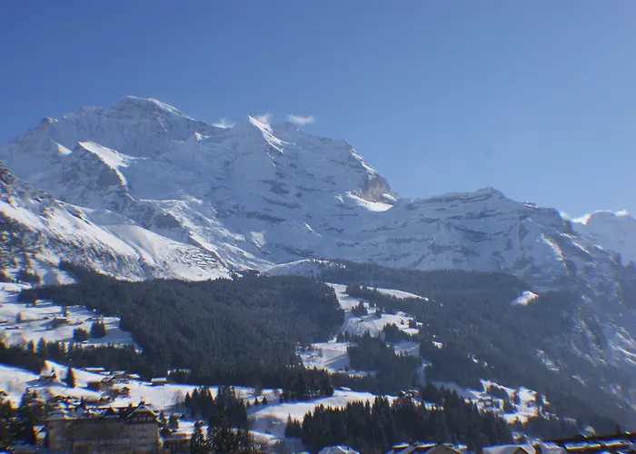 מלון Jungfraublick 3*